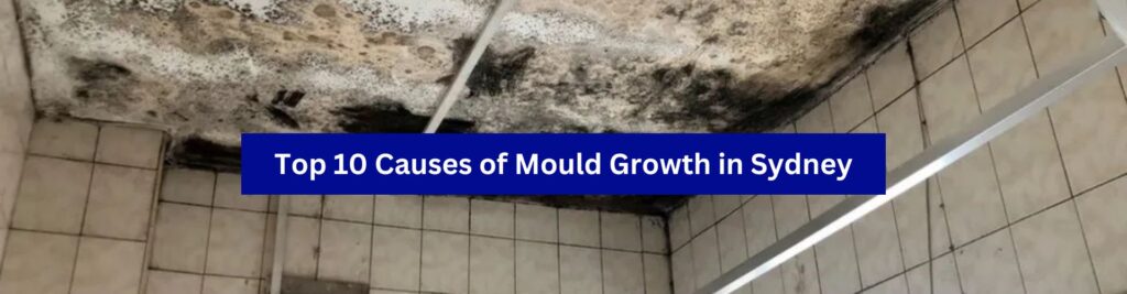 Top 10 causes of Mould Growth in Sydney