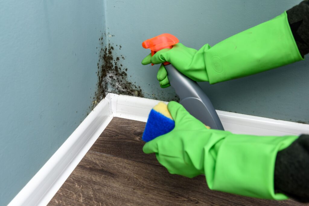 Causes of Mould Growth In Sydney Homes