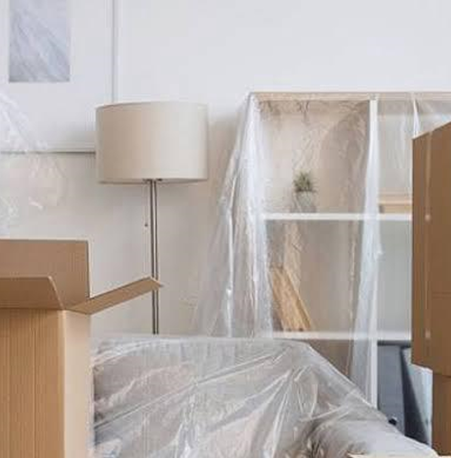 Contents restoration service mould-affected furniture and personal belongings being professionally packed out and restored in Sydney