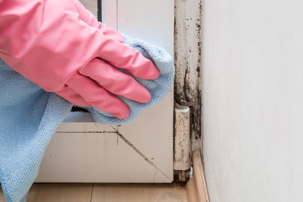 How to Remove Mould from Windows: