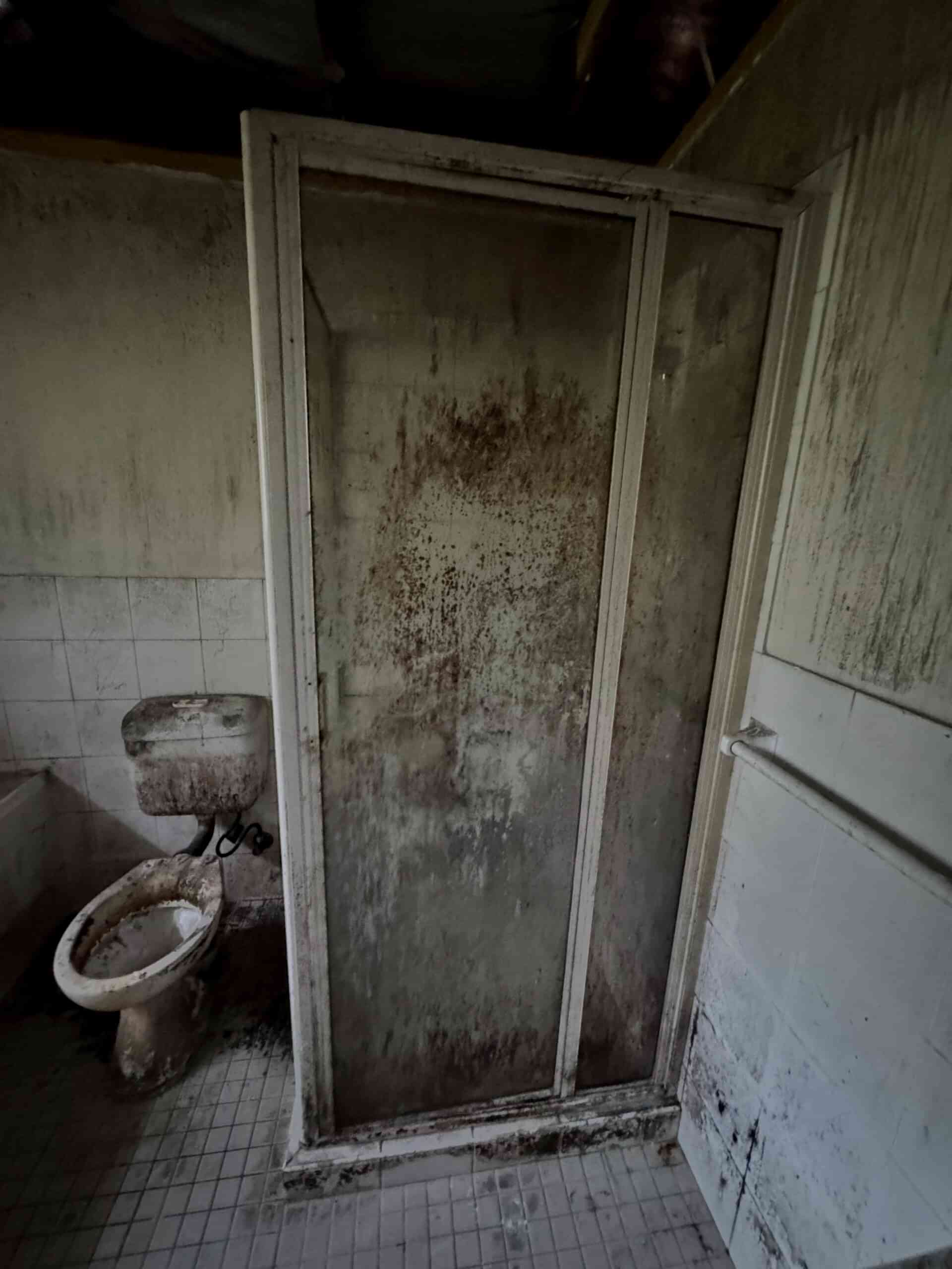 black mould-contaminated toilet and bathroom walls before IICRC S520 certified mould remediation in Sydney