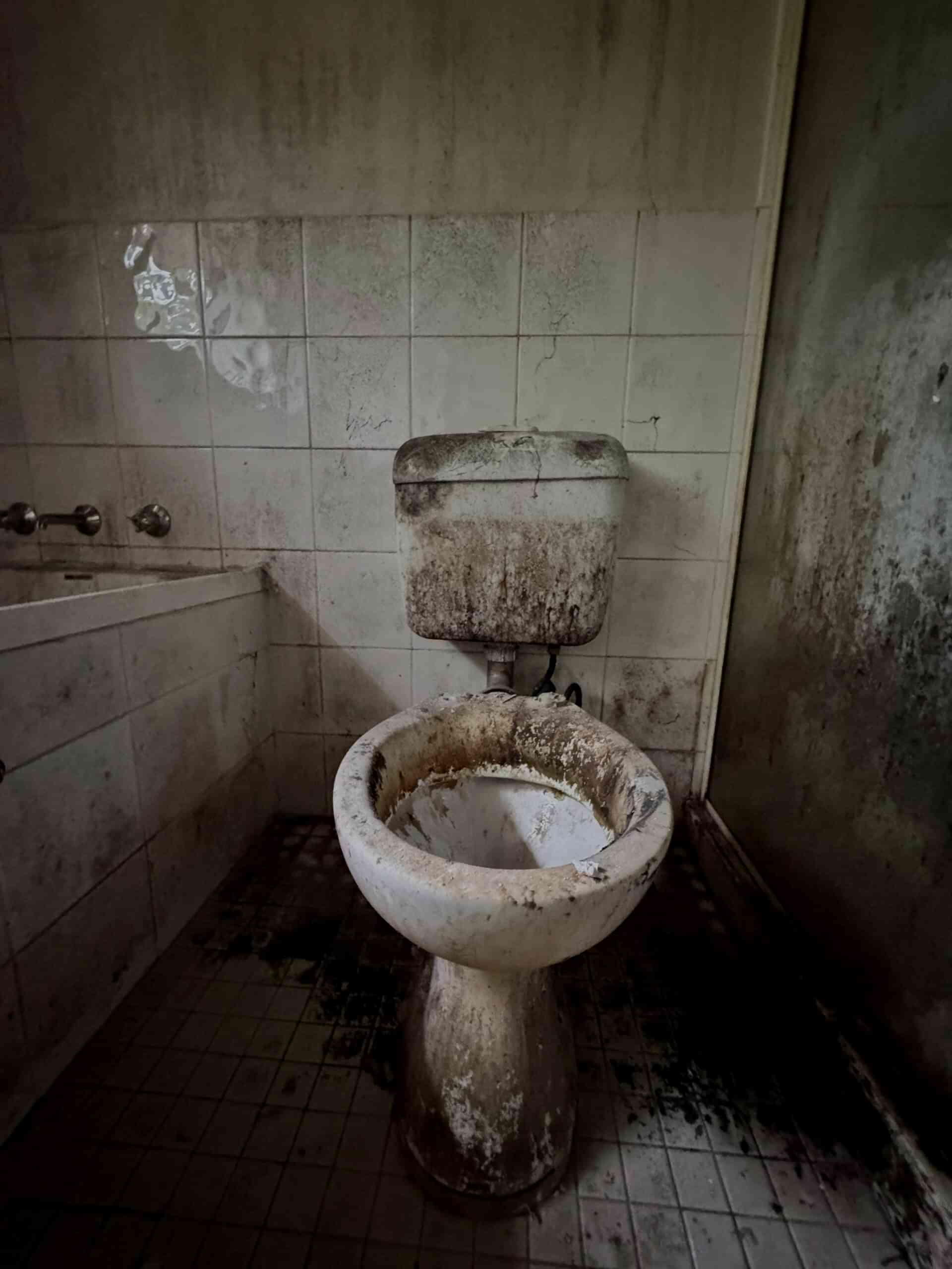Severely mould-damaged toilet with black mould growth on walls, floor and fixtures before professional mould removal in Sydney