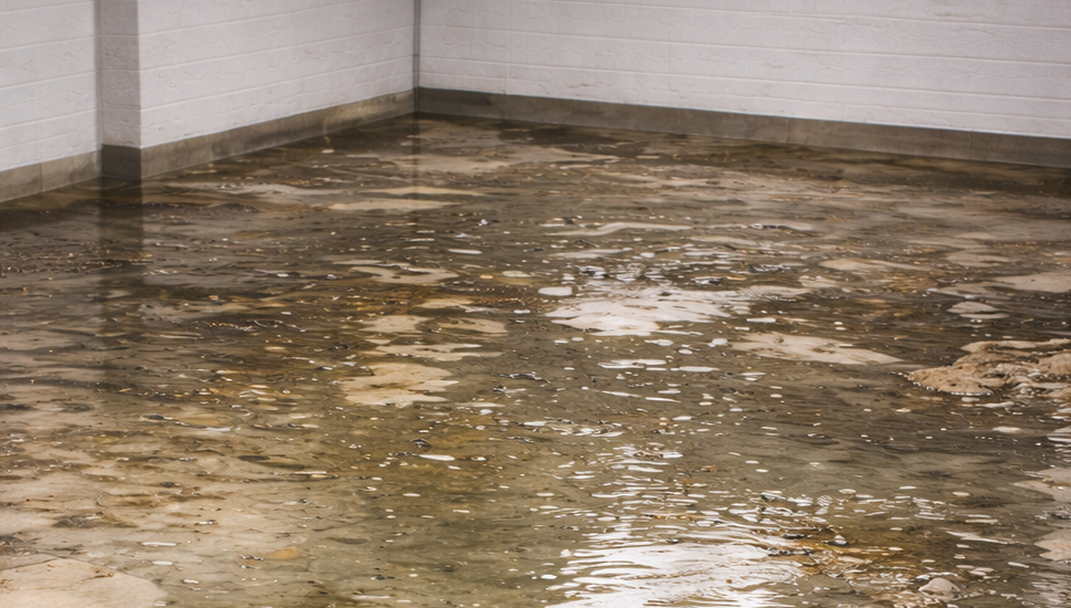 Category 2 grey water damage restoration — contaminated water from washing machine overflow or dishwasher discharge requiring professional restoration in Sydney