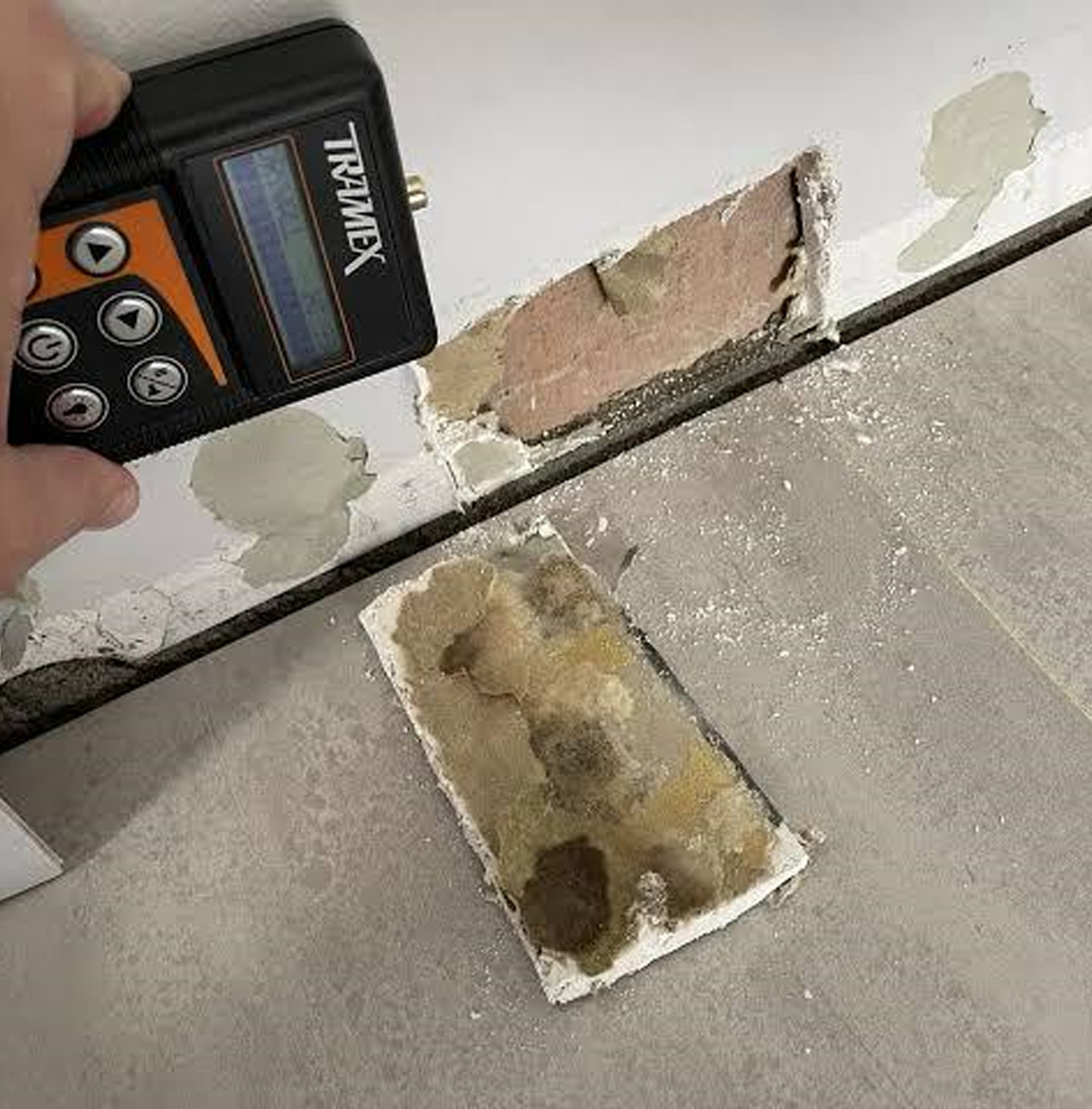 Certified mould inspector using a moisture metre to assess wall contamination during mould inspection in Sydney by candid cleaners