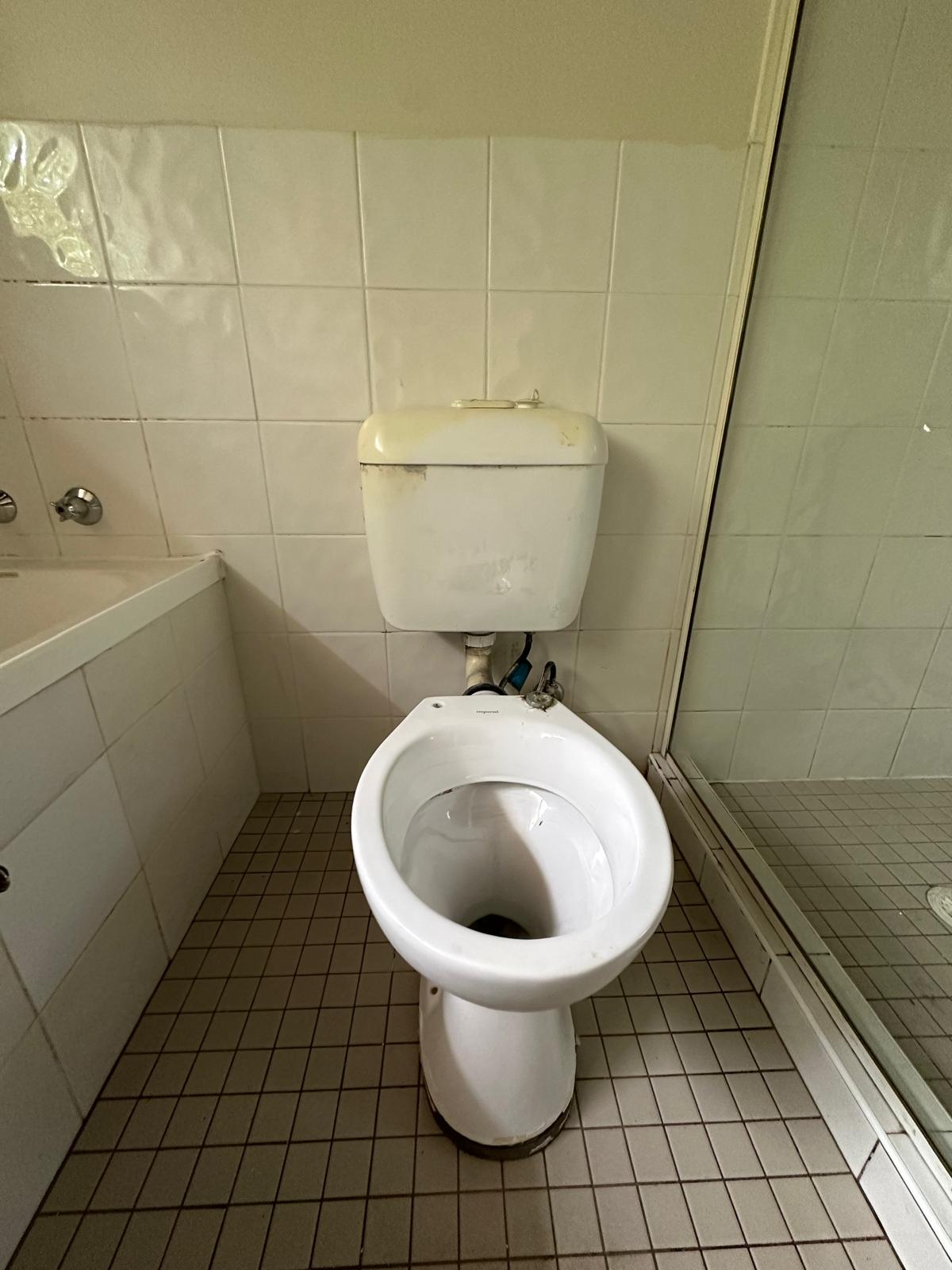 Toilet and shower cubicle fully restored and sanitised after IICRC S520 certified mould remediation by Candid Cleaners Sydney