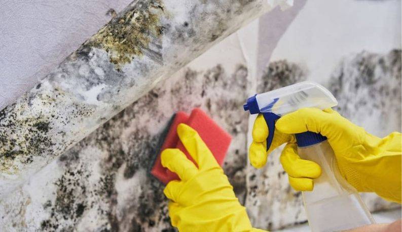 Commercial cleaning technician treating mould-contaminated surface in a Sydney commercial property — Candid Cleaners